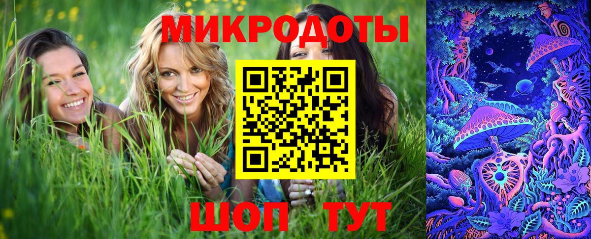 закладки  Галлюциногенные грибы MAGIC MUSHROOMS  Вход с VPN  Кстово 