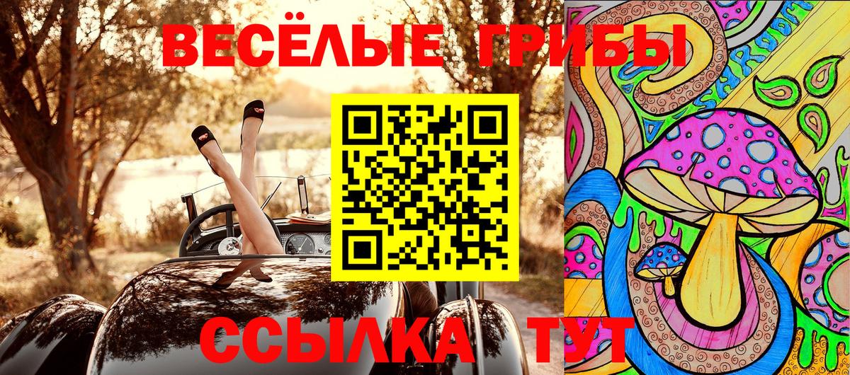 Галлюциногенные грибы Magic Shrooms Кстово